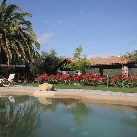 Agriturismo Ada Musso Ss Diano Borello 외부 사진