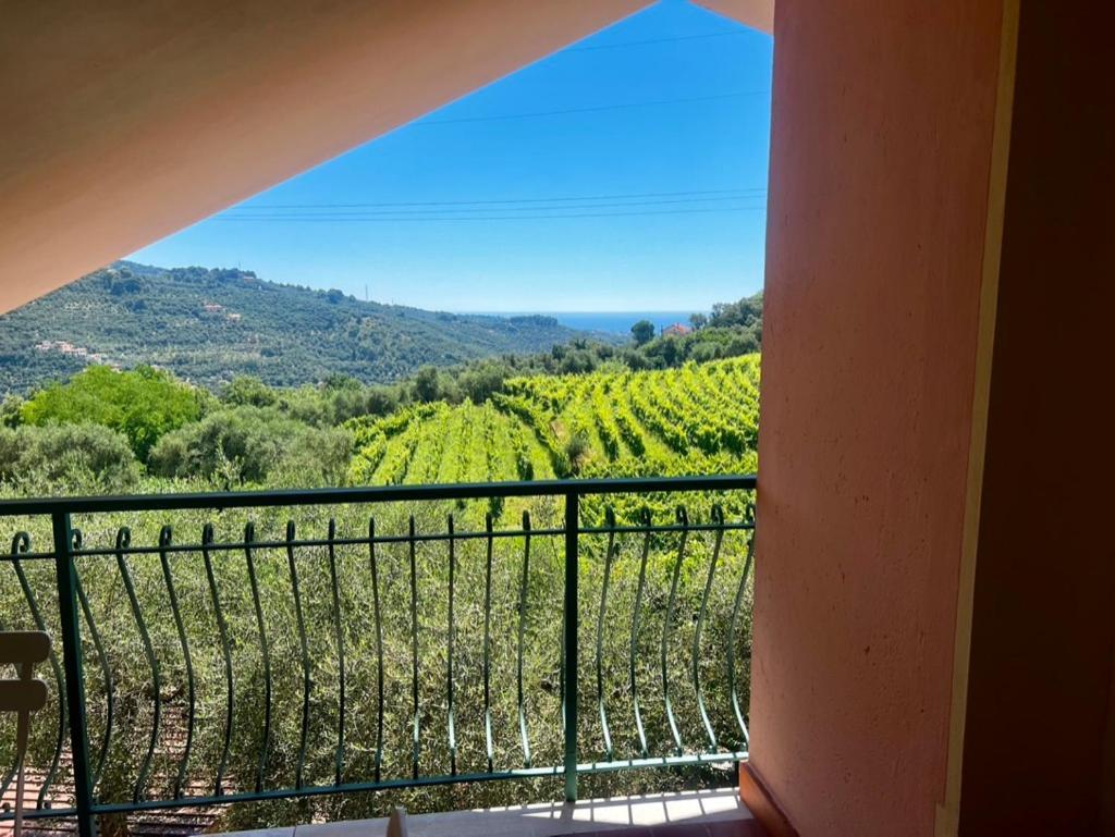 Agriturismo Ada Musso Ss Diano Borello 외부 사진