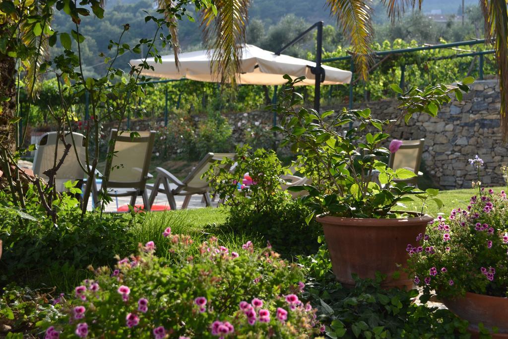 Agriturismo Ada Musso Ss Diano Borello 외부 사진