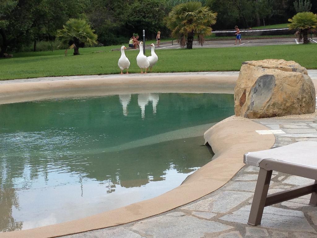 Agriturismo Ada Musso Ss Diano Borello 외부 사진