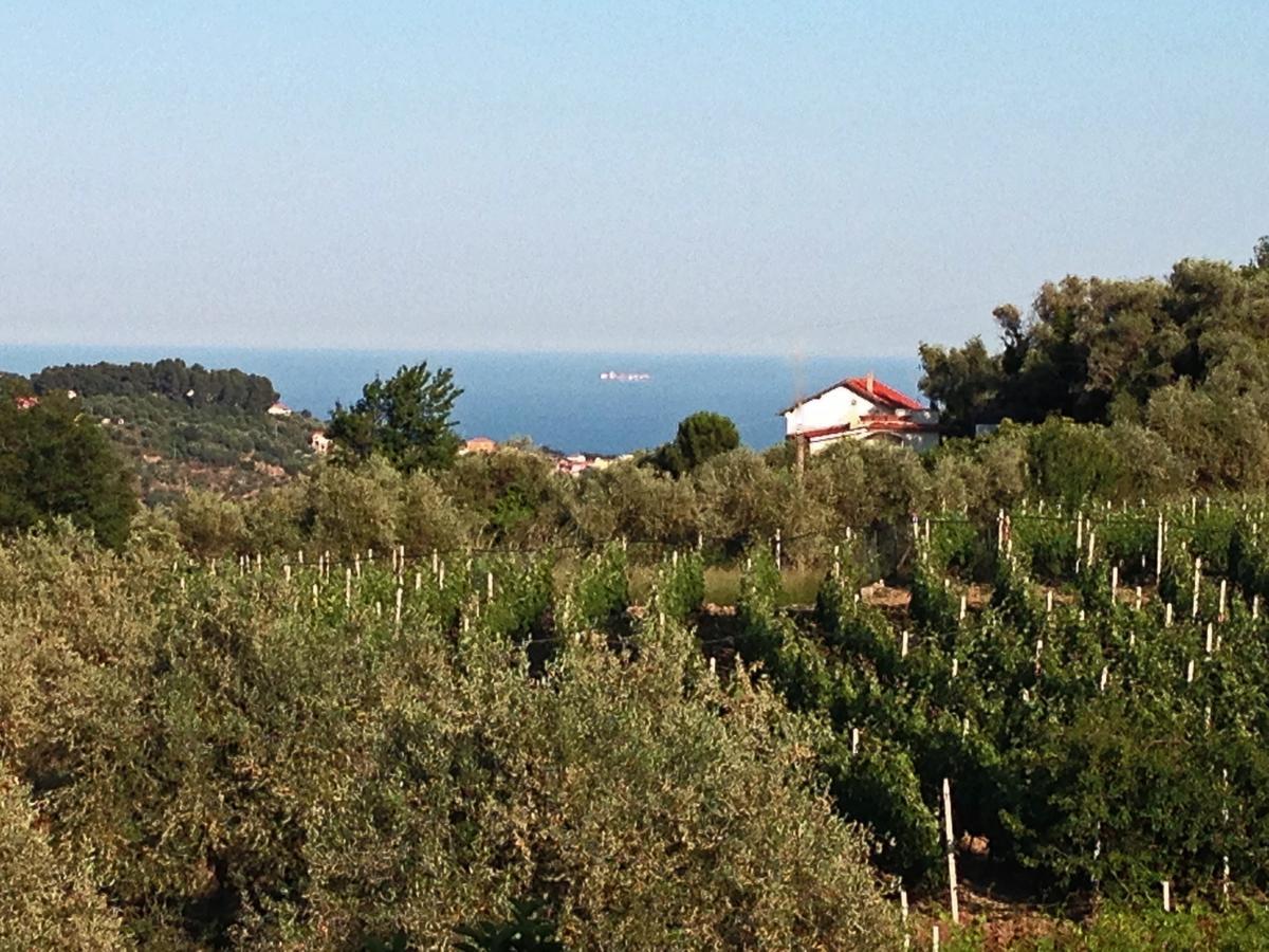 Agriturismo Ada Musso Ss Diano Borello 객실 사진