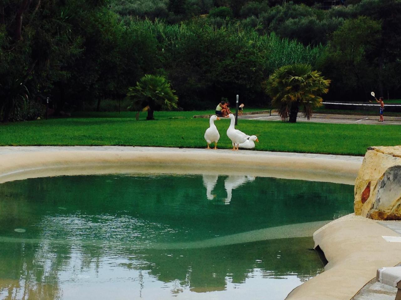 Agriturismo Ada Musso Ss Diano Borello 외부 사진